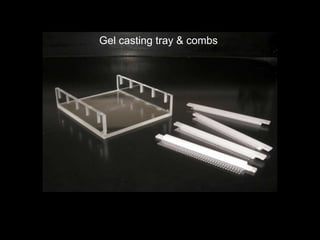 Gel casting tray & combs
 