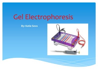 Gel Electrophoresis
  By: Katie Sova
 