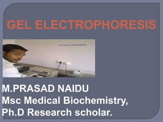 GEL ELECTROPHORESIS
M.PRASAD NAIDU
Msc Medical Biochemistry,
Ph.D Research scholar.
 