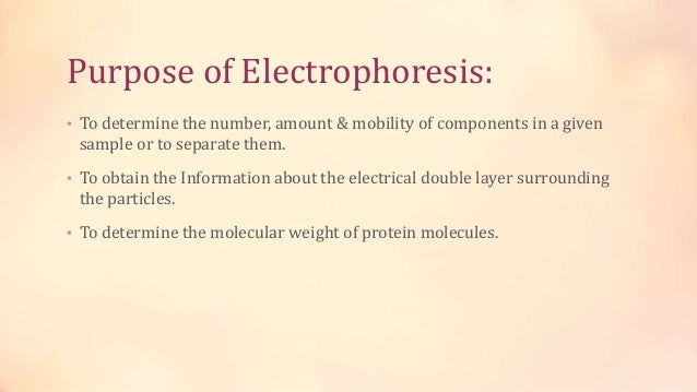 gel electrophoresis electrophoresis chamber