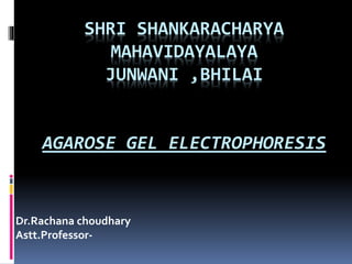 SHRI SHANKARACHARYA
MAHAVIDAYALAYA
JUNWANI ,BHILAI
AGAROSE GEL ELECTROPHORESIS
Dr.Rachana choudhary
Astt.Professor-
 