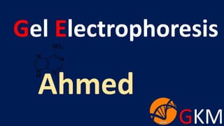 GKM
Gel Electrophoresis
Ahmed
 