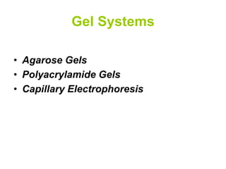 Gel Systems
• Agarose Gels
• Polyacrylamide Gels
• Capillary Electrophoresis
 