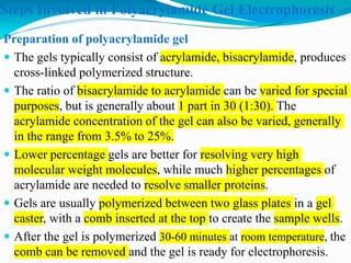Comprehensive Guide to Gel Electrophoresis Techniques and Applications ...