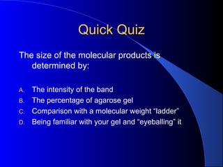 Quick QuizQuick Quiz
The size of the molecular products is
determined by:
A. The intensity of the band
B. The percentage of agarose gel
C. Comparison with a molecular weight “ladder”
D. Being familiar with your gel and “eyeballing” it
 