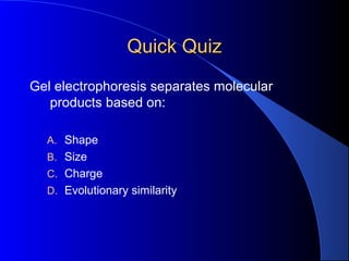 Quick QuizQuick Quiz
Gel electrophoresis separates molecular
products based on:
A. Shape
B. Size
C. Charge
D. Evolutionary similarity
 