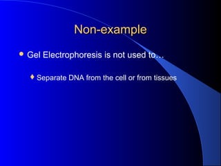 Non-exampleNon-example
 Gel Electrophoresis is not used to…
Separate DNA from the cell or from tissues
 