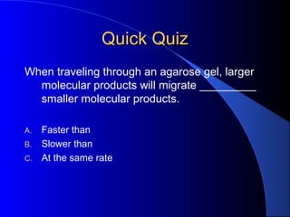 Quick QuizQuick Quiz
When traveling through an agarose gel, larger
molecular products will migrate _________
smaller molecular products.
A. Faster than
B. Slower than
C. At the same rate
 