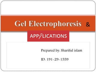 Prepared by: Shariful islam
ID: 191-29-1559
&
 