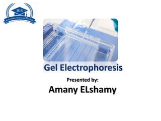 Gel Electrophoresis
Presented by:
Amany ELshamy
 