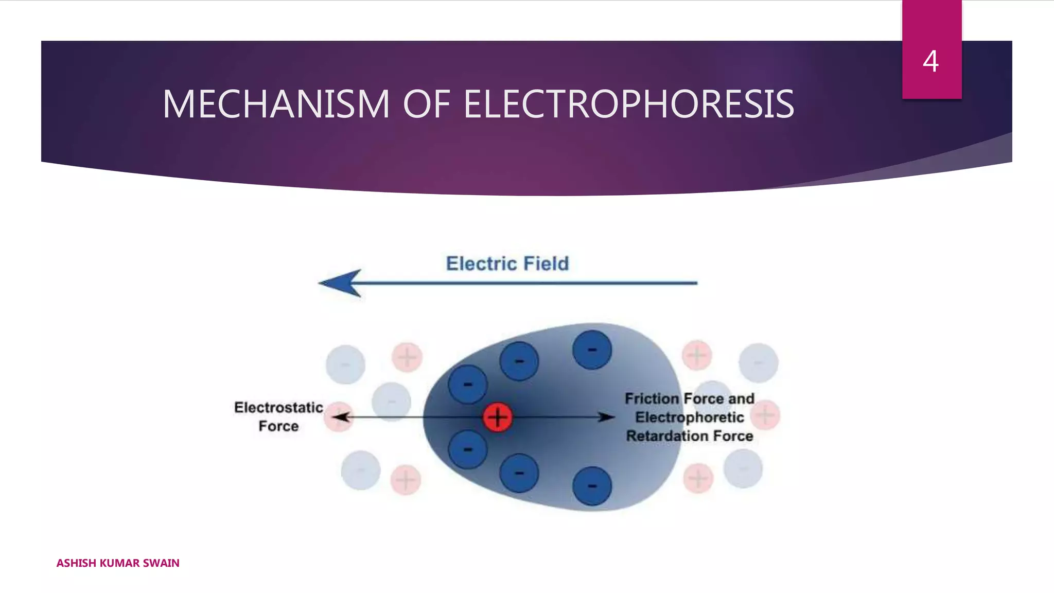 Electrophoresis Gel System Machine Process Principle