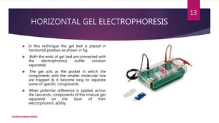 HORIZONTAL GEL ELECTROPHORESIS
 In this technique the gel bed is placed in
horizontal position as shown in fig.
 Both the ends of gel bed are connected with
the electrophoresis buffer solution
separately.
 The gel acts as the pocket in which the
components with the smaller molecular size
are trapped & it become easy to separate
some of specific components.
 When potential difference is applied across
the two ends, components of the mixture get
separated on the basis of their
electrophoretic ability.
ASHISH KUMAR SWAIN
13
 