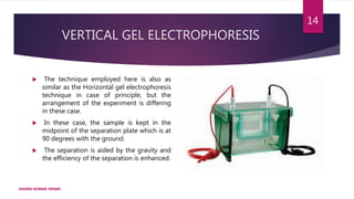 VERTICAL GEL ELECTROPHORESIS
 The technique employed here is also as
similar as the Horizontal gel electrophoresis
technique in case of principle, but the
arrangement of the experiment is differing
in these case.
 In these case, the sample is kept in the
midpoint of the separation plate which is at
90 degrees with the ground.
 The separation is aided by the gravity and
the efficiency of the separation is enhanced.
ASHISH KUMAR SWAIN
14
 