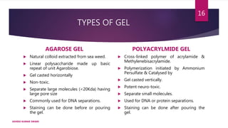 TYPES OF GEL
AGAROSE GEL
 Natural colloid extracted from sea weed.
 Linear polysaccharide made up basic
repeat of unit Agarobiose.
 Gel casted horizontally
 Non-toxic.
 Separate large molecules (<20Kda) having
large pore size
 Commonly used for DNA separations.
 Staining can be done before or pouring
the gel.
POLYACRYLMIDE GEL
 Cross-linked polymer of acrylamide &
Methylenebisacrylamide.
 Polymerization initiated by Ammonium
Persulfate & Catalysed by
 Gel casted vertically.
 Potent neuro-toxic.
 Separate small molecules.
 Used for DNA or protein separations.
 Staining can be done after pouring the
gel.
ASHISH KUMAR SWAIN
16
 