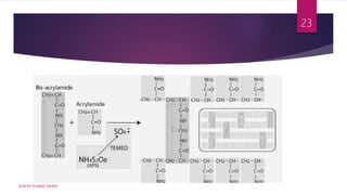 ASHISH KUMAR SWAIN
23
 