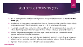 ISOELECTRIC FOCUSING (IEF)
 It is an electrophoretic method in which proteins are separated on the basis of their Isoelectric
Points (pIs).
 It makes use of the property of proteins that their net charges are determined by the pH of their
local environments. If the pH gradient is equal to its pI, Its net charge will change.
 Focusing is a steady state mechanism with regard to pH . Proteins approach their respective pI
values at differing rates, but remain relatively fixed at those pH values for extended periods.
 Proteins are positively charged in solutions at pH values above its pIs, a protein will move
towards the anode during electrophoresis.
 At pH values below their pI and –vely charged above their isoelectric points, Thus, at pH values
below the pI of a particular protein, it will migrate towards the cathode during electrophoresis.
 A protein at its isoelectric point will not move in an electric field.
ASHISH KUMAR SWAIN
38
 