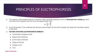 PRINCIPLES OF ELECTROPHORESIS
 The migration of the charged molecule in the electric field is generally expressed in terms of electrophoretic mobility (µ), which
is the ratio of the migration rate of an ion to the applied electric field.
𝝁 =
𝝂
𝑬
=
𝑸
𝒇
 As per the equation, if two molecules have the same mass & shape, the one with the greater net charge will move faster towards
an electrode.
 FACTORS AFFECTING ELECTROPHORETIC MOBILITY:-
 Concentration of Agarose in Gel
 Shape & Size of Particles
 Conformation of Particles
 Charge of Particles
 Voltage current
 Time
ASHISH KUMAR SWAIN
6
 