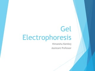 Gel
Electrophoresis
Himanshu Kamboj
Assistant Professor
 