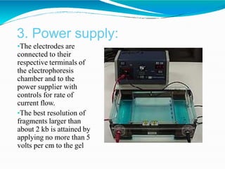 3. Power supply:
•The electrodes are
connected to their
respective terminals of
the electrophoresis
chamber and to the
pow...