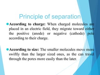 Principle of separation
⚫According to charge: When charged molecules are
placed in an electric field, they migrate toward ...