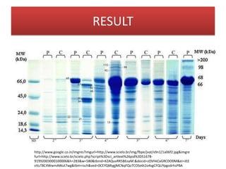 RESULT
http://www.google.co.in/imgres?imgurl=http://www.scielo.br/img/fbpe/jvat/v9n1/1a06f2.jpg&imgre
furl=http://www.scielo.br/scielo.php?script%3Dsci_arttext%26pid%3DS1678-
91992003000100006&h=283&w=580&tbnid=KZAQuvRR5BEoaM:&docid=zOVhkCaGRCDO0M&ei=JEE
vVuT8C4WwmAWut7wg&tbm=isch&ved=0CEYQMygjMCNqFQoTCOSe6t2o4sgCFQUYpgodrhsPBA
 