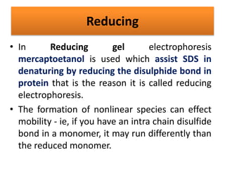 Reducing
• In Reducing gel electrophoresis
mercaptoetanol is used which assist SDS in
denaturing by reducing the disulphide bond in
protein that is the reason it is called reducing
electrophoresis.
• The formation of nonlinear species can effect
mobility - ie, if you have an intra chain disulfide
bond in a monomer, it may run differently than
the reduced monomer.
 