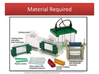 Material Required
http://www.google.co.in/imgres?imgurl=http://genotech.ir/ckfinder/userfiles/images/proteanmini(1).jpg&imgrefurl=http://genotech.ir/Training/Details.aspx?ID%3D15&h=307&w=440&tbnid=3yosiKz1AOFetM:&do
cid=0KtNzihlsekF6M&ei=JEEvVuT8C4WwmAWut7wg&tbm=isch&ved=0CGwQMyhJMElqFQoTCOSe6t2o4sgCFQUYpgodrhsPBA
 