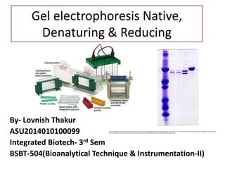 Gel electrophoresis Native,
Denaturing & Reducing
By- Lovnish Thakur
ASU2014010100099
Integrated Biotech- 3rd Sem
BSBT-504(Bioanalytical Technique & Instrumentation-II)
http://www.google.co.in/imgres?imgurl=http://genotech.ir/ckfinder/userfiles/images/proteanmini(1).jpg&imgrefurl=http://genotech.ir/Training/Details.aspx?ID%3D15&h=307&w=440&tbnid=3yosiKz1AOFetM:
&docid=0KtNzihlsekF6M&ei=JEEvVuT8C4WwmAWut7wg&tbm=isch&ved=0CGwQMyhJMElqFQoTCOSe6t2o4sgCFQUYpgodrhsPBA
 
