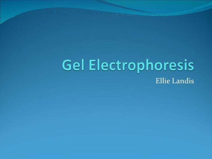 gel electrophoresis power point