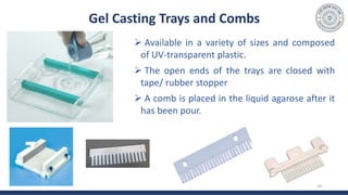 Gel Casting Trays and Combs
 Available in a variety of sizes and composed
of UV-transparent plastic.
 The open ends of the trays are closed with
tape/ rubber stopper
 A comb is placed in the liquid agarose after it
has been pour.
10
 