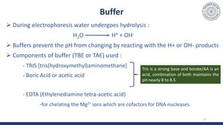 Buffer
 During electrophoresis water undergoes hydrolysis :
H2O H+ + OH-
 Buffers prevent the pH from changing by reacting with the H+ or OH- products
 Components of buffer (TBE or TAE) used :
- TRIS [tris(hydroxymethyl)aminomethane]
- Boric Acid or acetic acid
- EDTA (Ethylenediamine tetra-acetic acid)
-for chelating the Mg2+ ions which are cofactors for DNA nucleases
12
Tris is a strong base and borate/AA is an
acid, combination of both maintains the
pH nearly 8 to 8.5
 