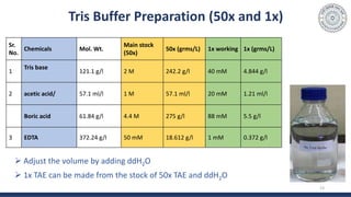 Tris Buffer Preparation (50x and 1x)
13
Sr.
No.
Chemicals Mol. Wt.
Main stock
(50x)
50x (grms/L) 1x working 1x (grms/L)
1
Tris base
121.1 g/l 2 M 242.2 g/l 40 mM 4.844 g/l
2 acetic acid/ 57.1 ml/l 1 M 57.1 ml/l 20 mM 1.21 ml/l
Boric acid 61.84 g/l 4.4 M 275 g/l 88 mM 5.5 g/l
3 EDTA 372.24 g/l 50 mM 18.612 g/l 1 mM 0.372 g/l
 Adjust the volume by adding ddH2O
 1x TAE can be made from the stock of 50x TAE and ddH2O
 