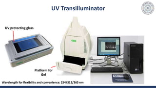 UV Transilluminator
Platform for
Gel
UV protecting glass
Wavelength for flexibility and convenience: 254/312/365 nm
 