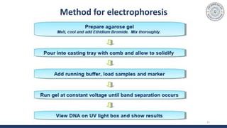 Method for electrophoresis
21
 