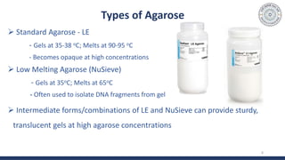 Types of Agarose
 Standard Agarose - LE
- Gels at 35-38 oC; Melts at 90-95 oC
- Becomes opaque at high concentrations
 Low Melting Agarose (NuSieve)
- Gels at 35oC; Melts at 65oC
- Often used to isolate DNA fragments from gel
 Intermediate forms/combinations of LE and NuSieve can provide sturdy,
translucent gels at high agarose concentrations
8
 