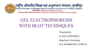 GEL ELECTROPHORESIS
WITH BLOT TECHNIQUES
Presented by:
R. MALLESWARAN
Regulatory Toxicology
M.S. PHARM/2023-25/RT/10
 