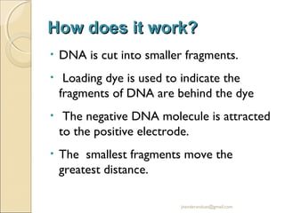 How does it work?
•

DNA is cut into smaller fragments.

•

Loading dye is used to indicate the
fragments of DNA are behind the dye

•

The negative DNA molecule is attracted
to the positive electrode.

•

The smallest fragments move the
greatest distance.
jitenderanduat@gmail.com

 