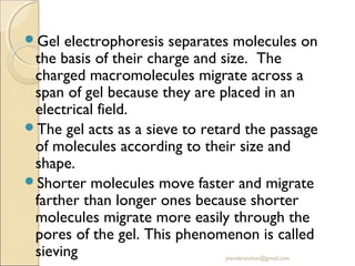 Gel

electrophoresis separates molecules on
the basis of their charge and size. The
charged macromolecules migrate across a
span of gel because they are placed in an
electrical field.
The gel acts as a sieve to retard the passage
of molecules according to their size and
shape.
Shorter molecules move faster and migrate
farther than longer ones because shorter
molecules migrate more easily through the
pores of the gel. This phenomenon is called
sieving
jitenderanduat@gmail.com

 