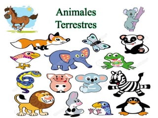 Animales
Terrestres
 