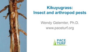 Kikuyugrass:
Insect and arthropod pests
Wendy Gelernter, Ph.D.
www.paceturf.org
 
