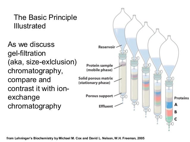 radioactive dating vs relative dating Many absolute dating techniques take advantage of radioactive decay relative dating methods determine whether one sample is older or younger than. radioactive dating vs relative dating Many absolute dating techniques take advantage of radioactive decay relative dating methods determine whether one sample is older or younger than.