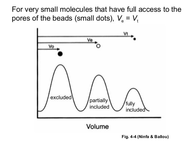 gel filtration chromatography