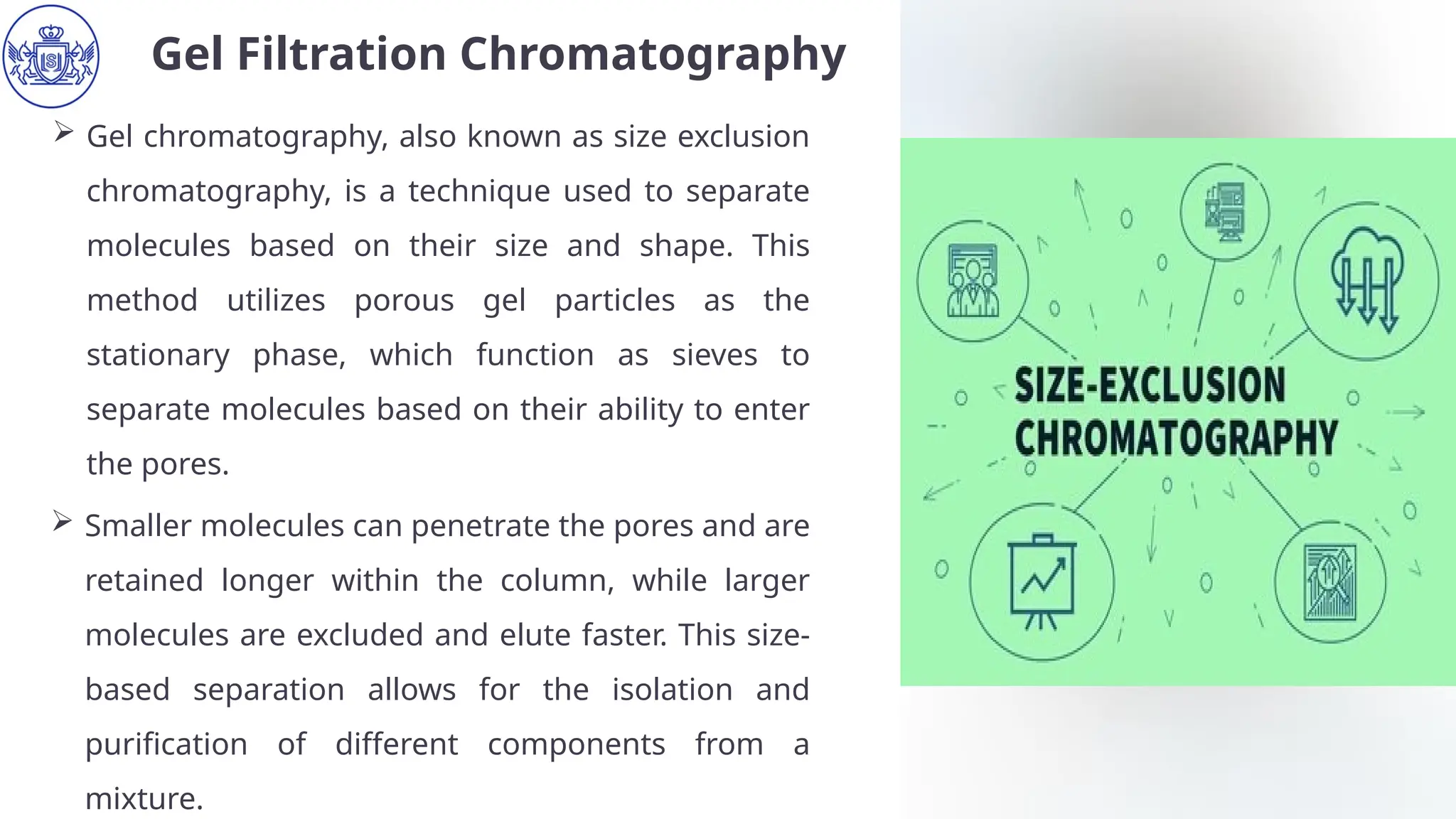 Gel Filtration Chromatography Principles, Stationary Phases, and ...