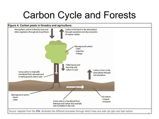 Land Conservation and Climate Change | PPTX