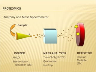 IONIZER MASS ANALYZER DETECTOR MALDI Electro-Spray Ionization (ESI) Time-Of-Flight (TOF) Quadrapole Ion-Trap Electron Multiplier (EM) Anatomy of a Mass Spectrometer Sample + _ 
