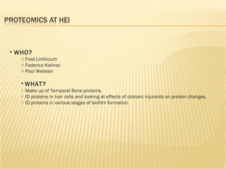 WHO?  Fred Linthicum Federico Kalinec Paul Webster WHAT? Make up of Temporal Bone proteins. ID proteins in hair cells and looking at effects of ototoxic injurants on protein changes. ID proteins in various stages of biofilm formation. 