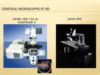ZEISS LSM 710 w/ CONFOCOR 3 LEICA SP5 