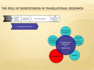Biorepositories Imaging Chemical & Molecular Therapies Cell & Tissue Therapies Immune & Monitoring Vaccines Translational Research &  Resources Basic Research Prototype Design or Discovery Preclinical Development Clinical Development FDA filing/Approval & Launch Preparation Translational Research 