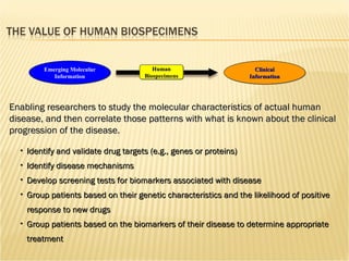 Identify and validate drug targets (e.g., genes or proteins) Identify disease mechanisms Develop screening tests for biomarkers associated with disease Group patients based on their genetic characteristics and the likelihood of positive response to new drugs Group patients based on the biomarkers of their disease to determine appropriate treatment Emerging Molecular Information Clinical Information Enabling researchers to study the molecular characteristics of actual human disease, and then correlate those patterns with what is known about the clinical progression of the disease. Human Biospecimens 