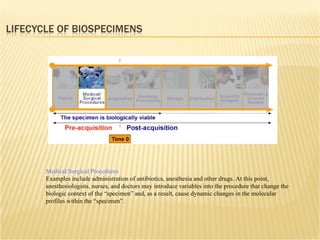 Medical/Surgical Procedures Examples include administration of antibiotics, anesthesia and other drugs. At this point, anesthesiologists, nurses, and doctors may introduce variables into the procedure that change the biologic context of the “specimen” and, as a result, cause dynamic changes in the molecular profiles within the “specimen”. 